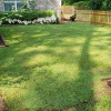 Landscape Design & Maintenance, Sod Installation, Irrigation